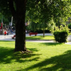 Poesie im Park - geht die nacht vorbei